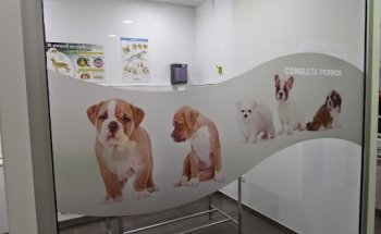Clinica Veterinaria Davavet