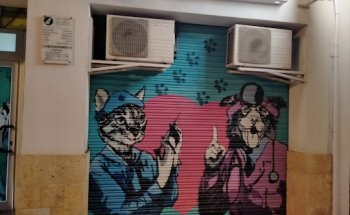 Clínica Veterinaria Malilla