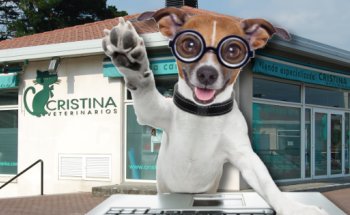 Cristina Veterinarios