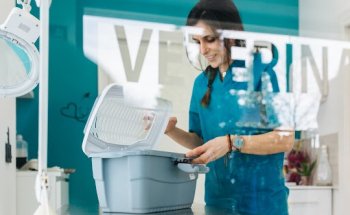 MAVET Centro Veterinario