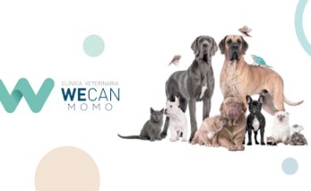 Clínica Veterinaria WECAN Momo