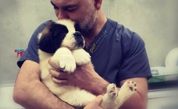 Hospital Veterinario Dr. Alonso Martínez