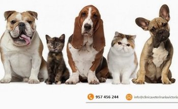 Centro Clínico Veterinario Victoria