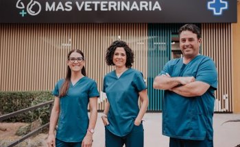 Más veterinaria