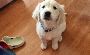 Centro veterinario Deusto