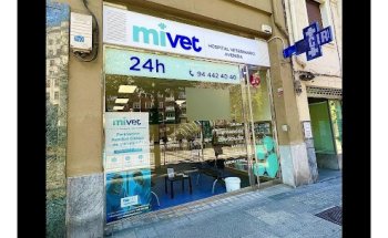 Hospital Veterinario Avenida | MiVet
