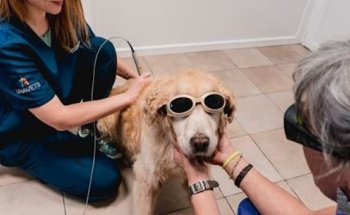 Clínica Veterinaria Castaños