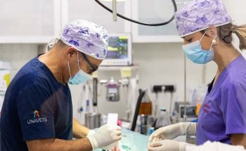 Clínica Veterinaria Etorbide Durango