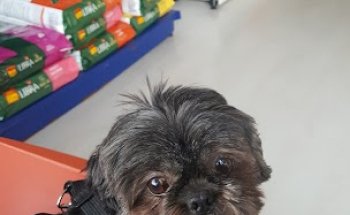 Balerma Veterinarios