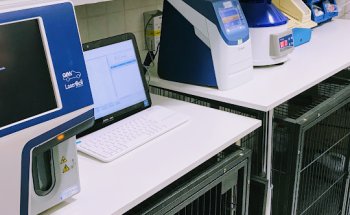 Clínica Veterinaria Lobo Gris