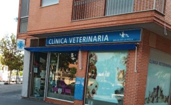 CLINICA VETERINARIA BRUJA DE LA VILLA