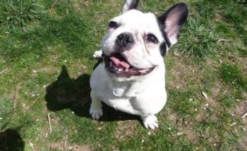 Clínica Veterinaria Santo Domingo