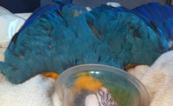 Centro Veterinario Alhama