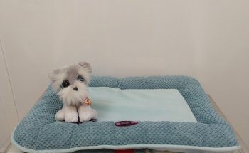 ALJARAQUE CENTRO VETERINARIO