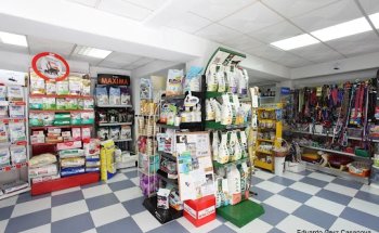 Clínica Veterinaria Pontes