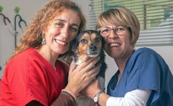 Clínica Veterinaria El Valle