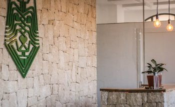 Asgard Hospital Veterinari