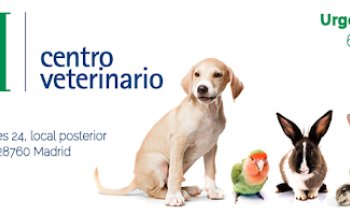 Centro Veterinario API