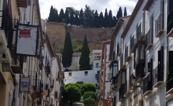 Centro Veterinario Infante