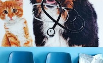 Clínica Veterinaria Jesús Toledo - Complejo Torcan