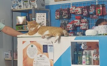 Clínica veterinaria Las Canteras