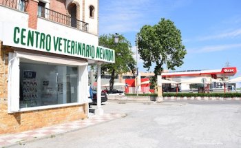 Centro Veterinario Nevada
