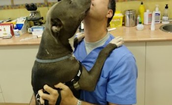 Centro Veterinario Anivet