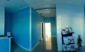 Clinica Veterinaria Arroyomolinos - ANIMAL LASER
