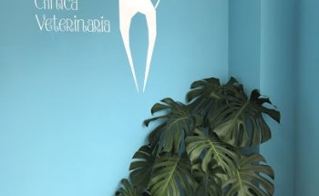 Clínica Veterinaria Katuxa