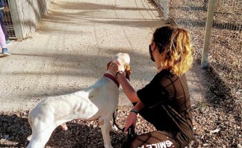 Unidad Móvil Veterinaria CM Aspe.