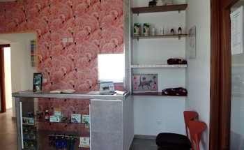 Clínica Veterinaria DeLi