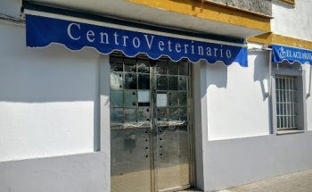 Clinica Veterinaria El Acuario SLP