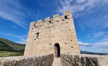 AniCura Vet's Barberà Clínica Veterinària