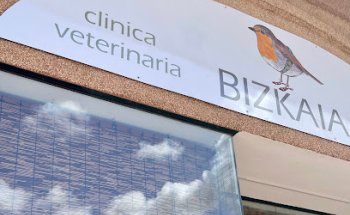 Clínica veterinaria Bizkaia Albaitaritza klinika