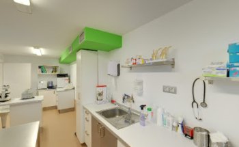 Clínica Veterinaria Gure Kide