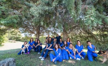 Clinica Veterinaria Nanclares De La Oca