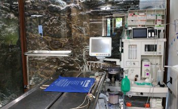 Sanaben Centro Veterinario