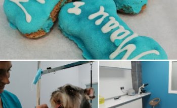 MAAU Centre Veterinari