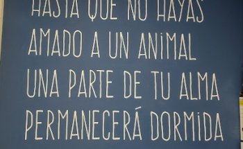 Clinica veterinaria Sam