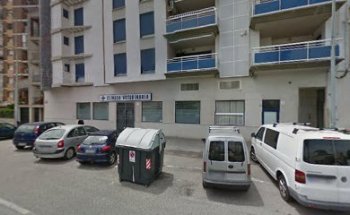 Veterinario Consultorio Burrianense