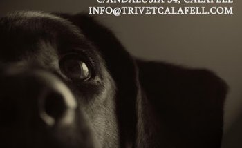 Clínica Veterinària Trivet Calafell