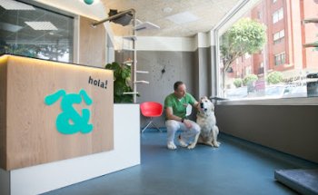 Clinica Veterinaria Ruiz y Menta