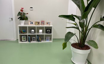 La Merced Veterinary Specialists