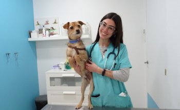 Baloo Clínica Veterinaria