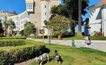 Clínica Veterinaria Cambre