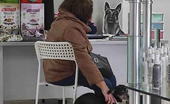 Centro Veterinario Gestyvet