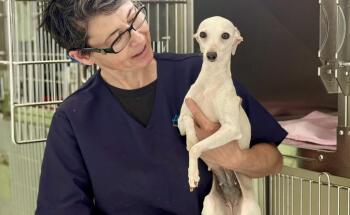 Clínica veterinaria Granavet