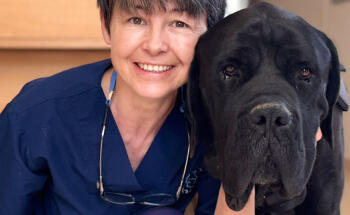 Clínica veterinaria Granavet