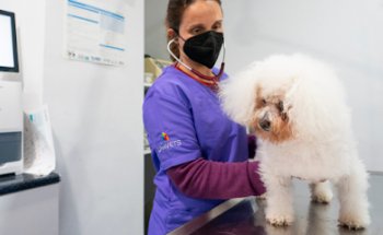 Centro Veterinario Cabrils