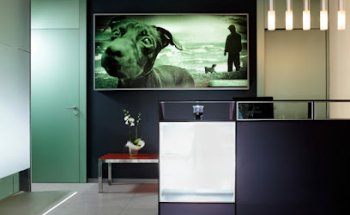 Clínica Veterinaria Innova Veterinaria